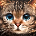 Logo of Kitty Cat Live Wallpaper android Application 